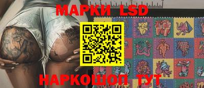 стафф Нальчик