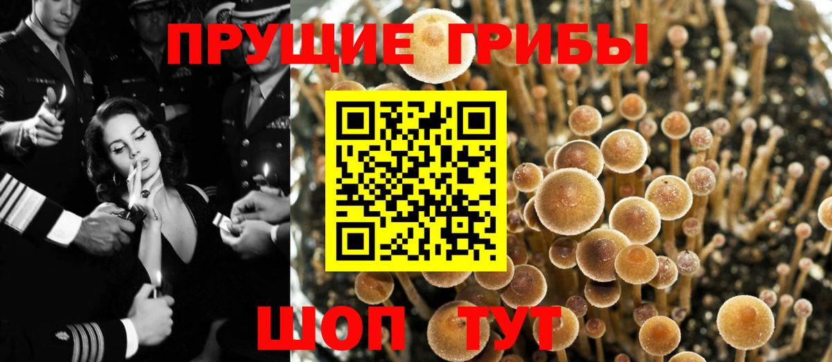 наркота  Вход с VPN  Саранск  Галлюциногенные грибы GOLDEN TEACHER 